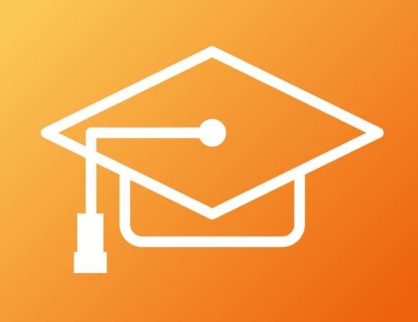 Penetration Testing Services 21 Penetration testing for university and schools