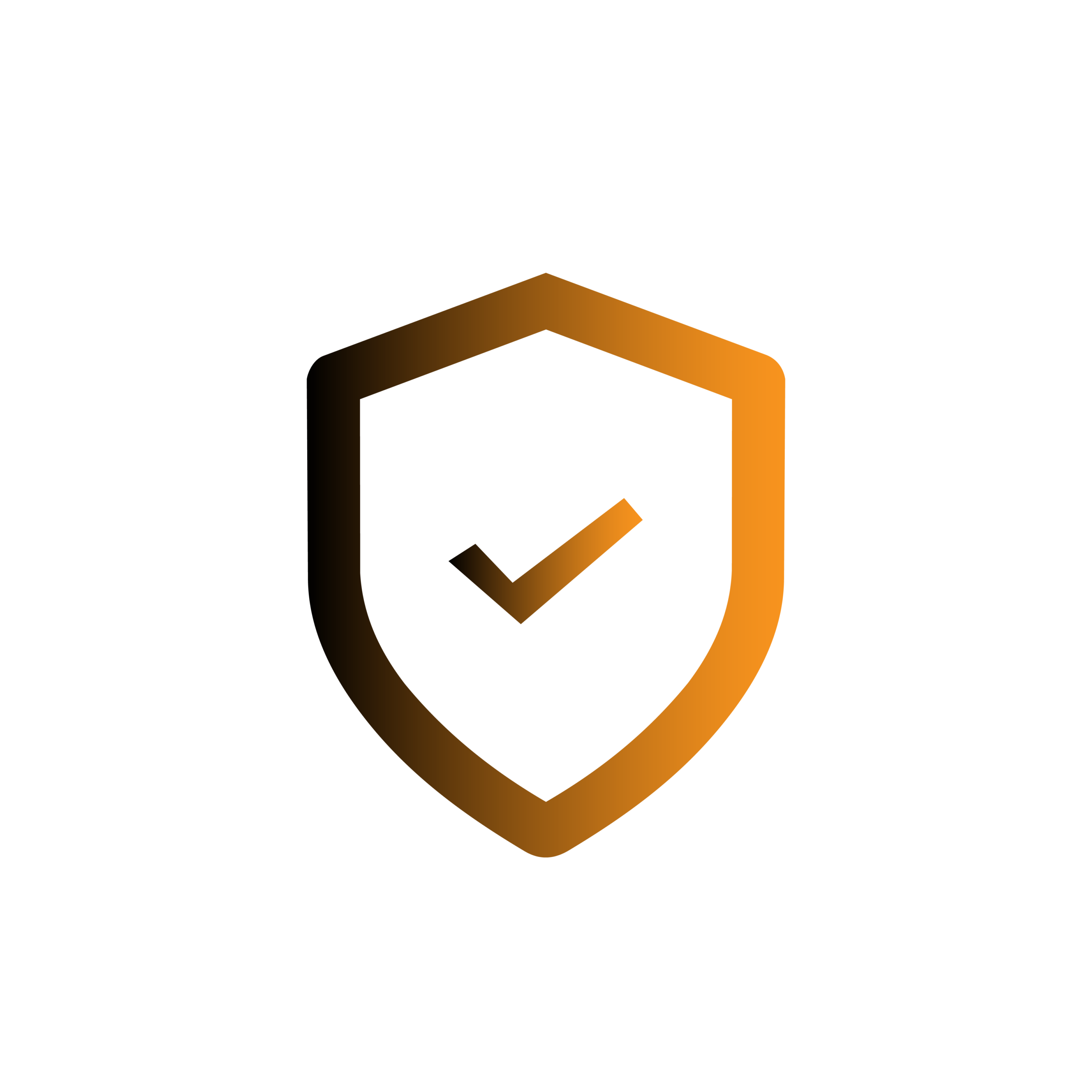 About Us 37 CYber Shield 1 scaled