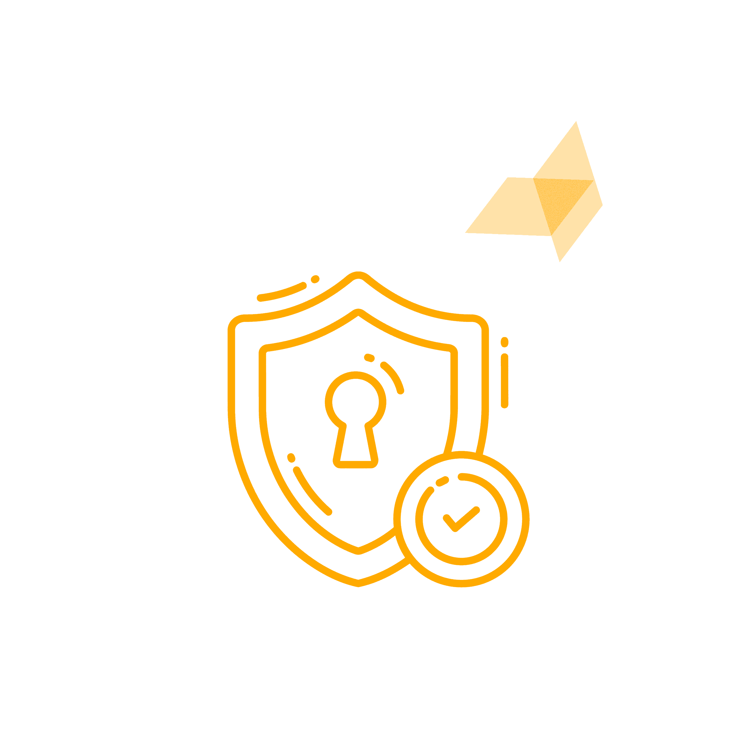 About Us 20 Experienced Security Professionals scaled