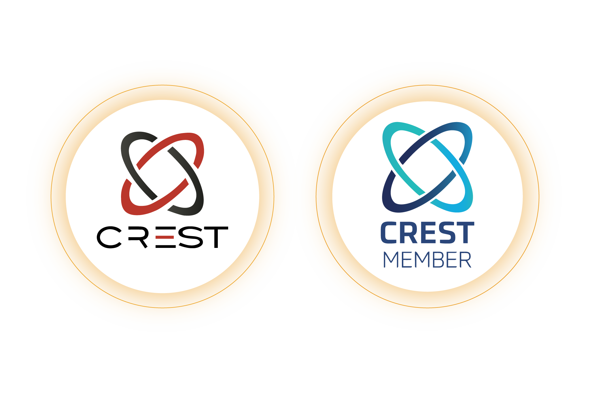 CREST Accredited Penetration Testing Services
